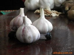 莱芜市莱城区莱北农副产品综合供销处蒜产品列表