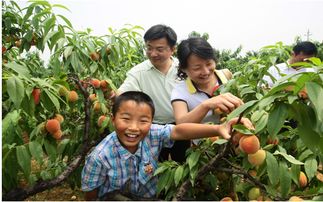 云山集团 奏响优质农副产品“交响曲”，助力乡村振兴新乐章