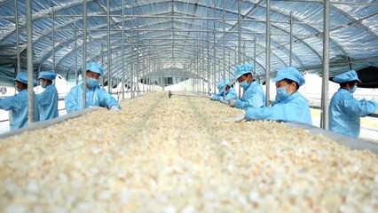 开仓助农 832个脱贫县农副产品销路探索与开拓