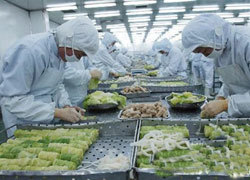 “肯定列表”制度 我国农副产品出口的严峻挑战与应对之策