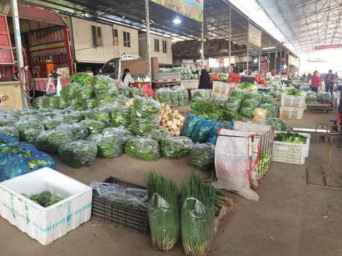 年交易量达9.8亿吨 天王农副产品交易中心扩建项目加速推进